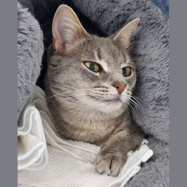 Photo of Tia