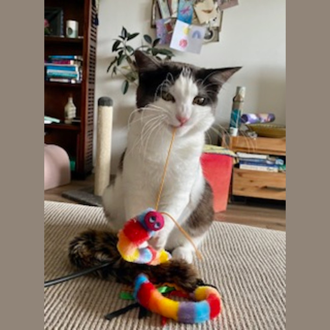 Photo of 💙George & 💜Lily