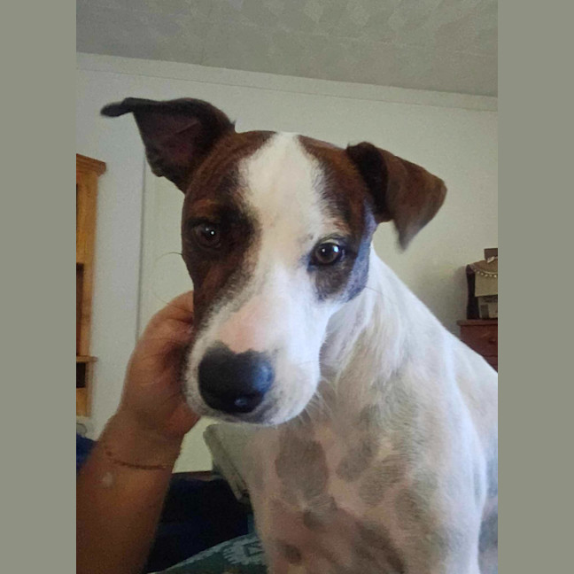 Photo of Princess