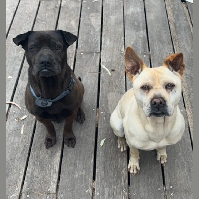 Photo of Mister And Kaydo