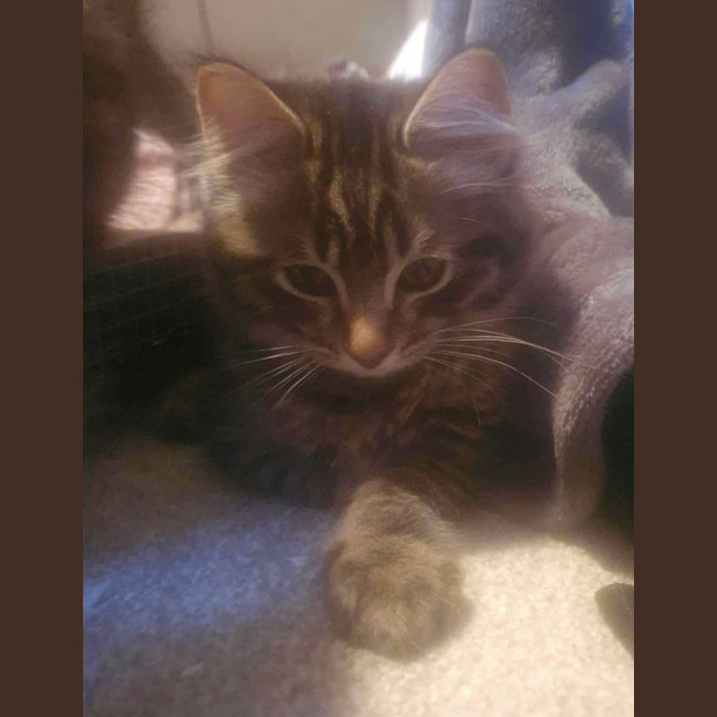 Photo of Memphis And Lucille