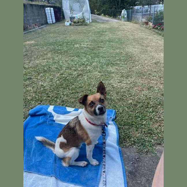 Photo of Hugo