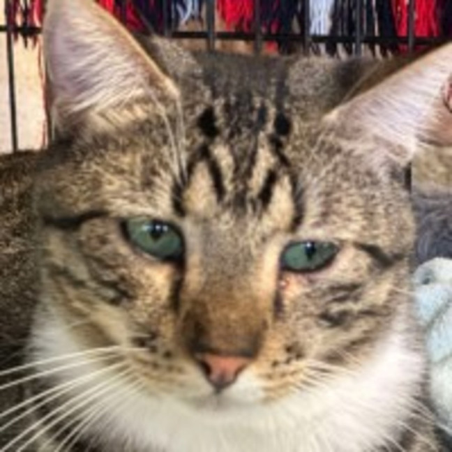 Photo of Julian & Spaghetti 