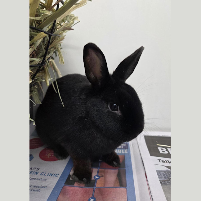 Photo of Nancy