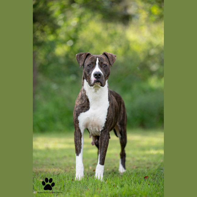 Photo of Sally