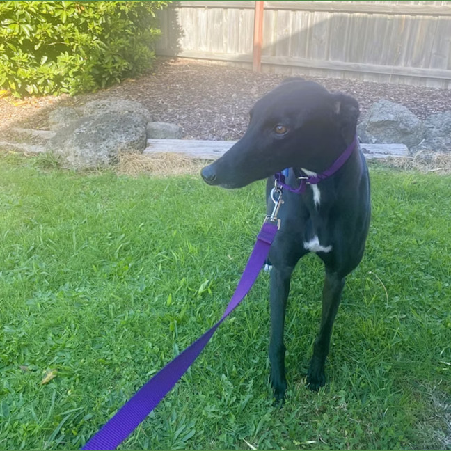 Photo of Jill
