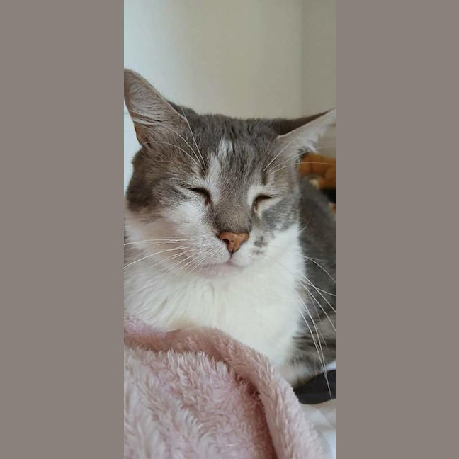 Photo of Marlow