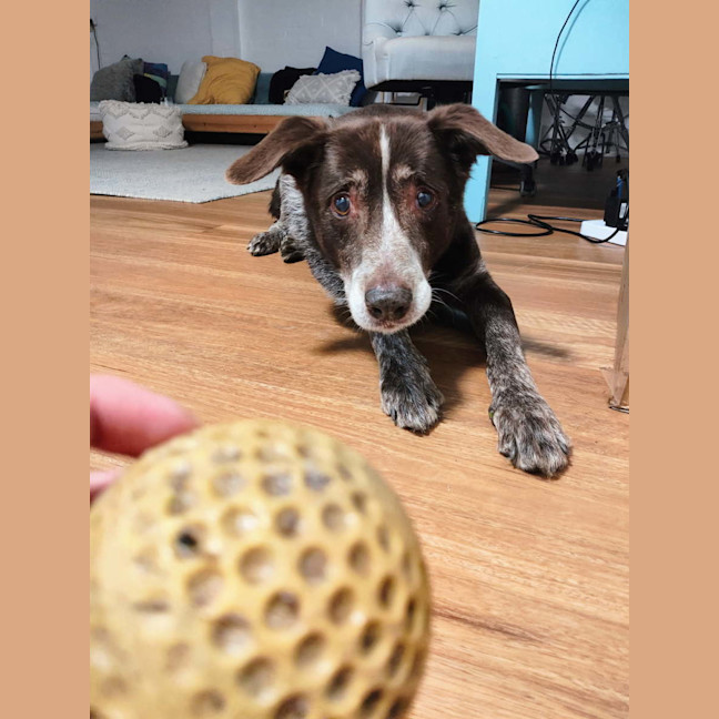 Photo of Hugo 