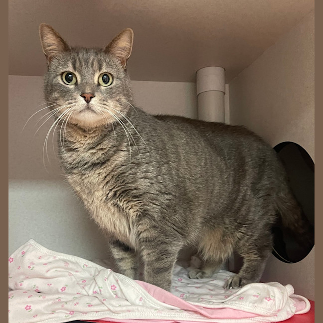 Photo of Petal