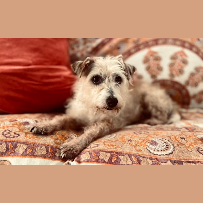 Photo of Walter And Abby