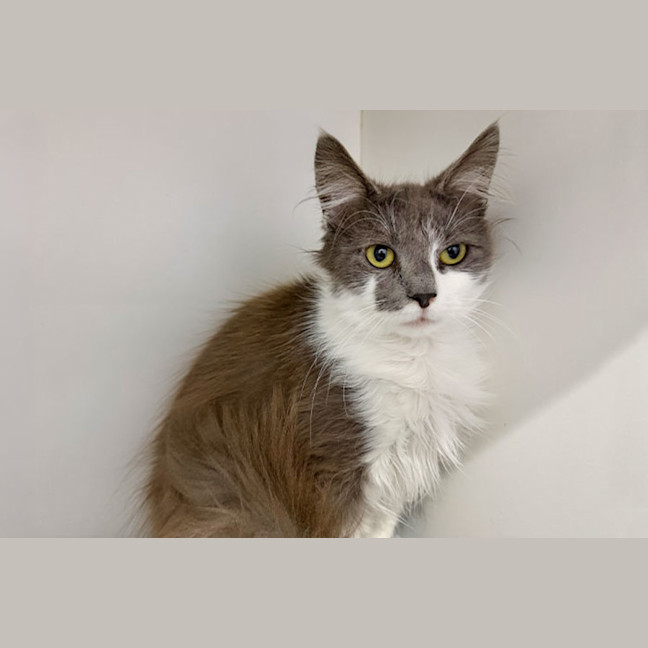 Photo of Elroy