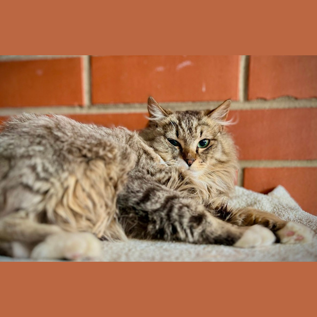 Photo of Wednesday! 
