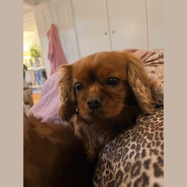 Photo of Tasha