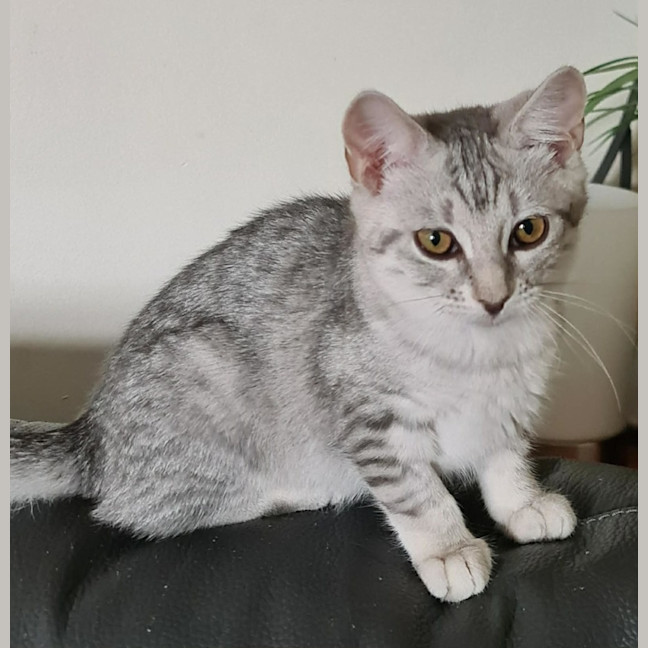 Photo of Osha & Rosemary