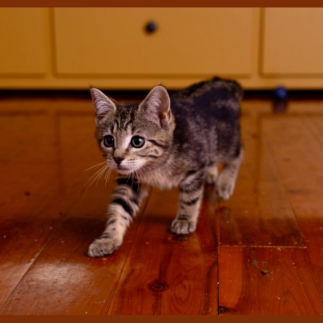 Photo of Lunchlady Doris