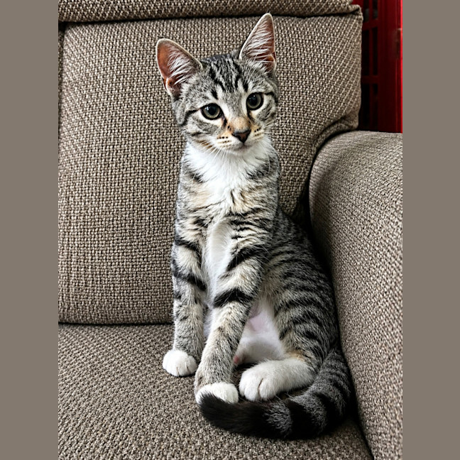 Photo of Cindy