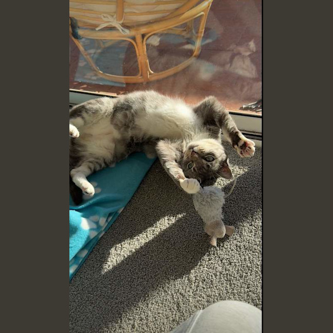 Photo of Thunda