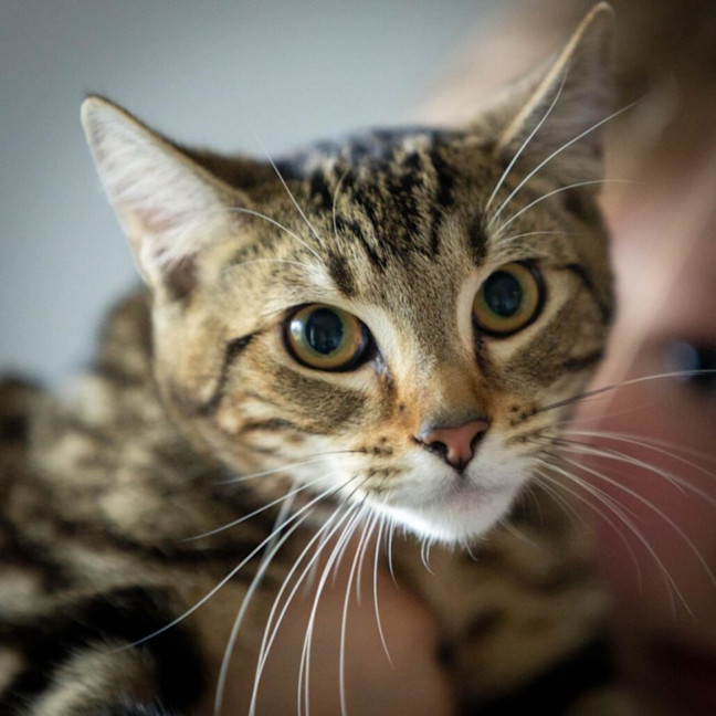 Photo of Schwartz & Aella