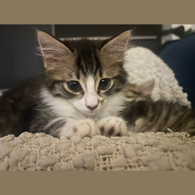 Photo of Takka