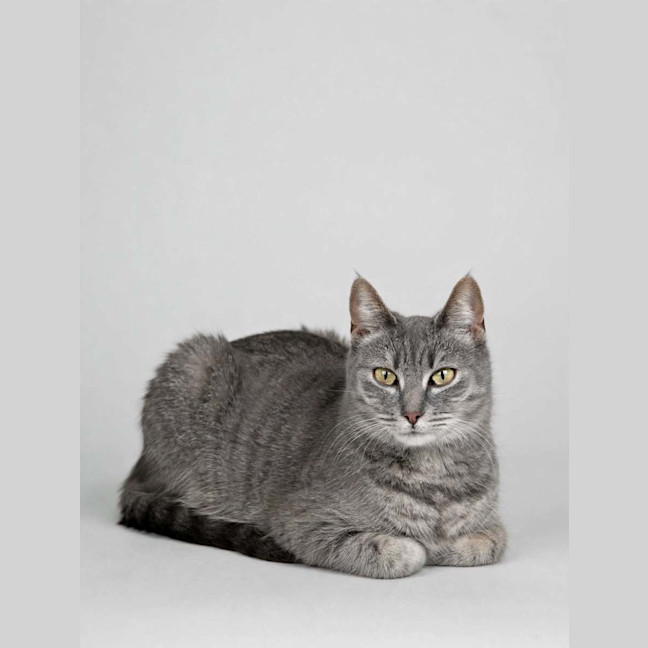 Photo of Tammy