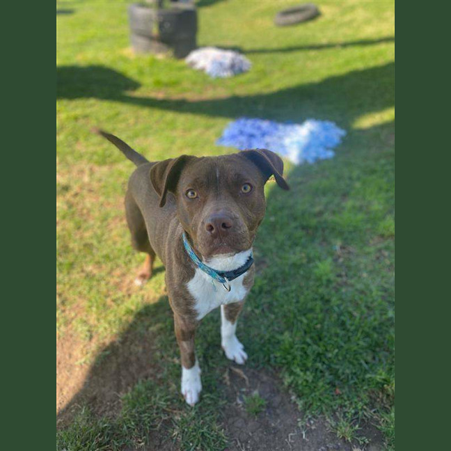 Photo of Tilly