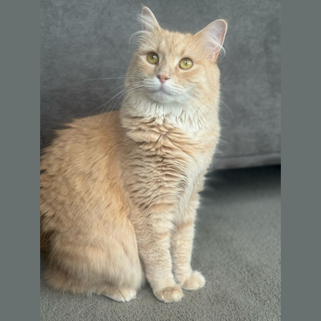 Photo of Lily