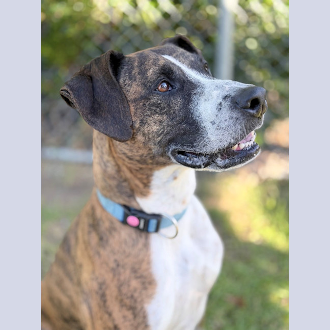 Photo of Xena