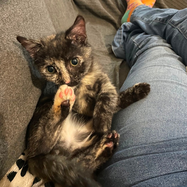 Photo of Bug