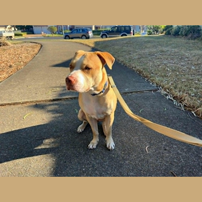 Photo of Titan 