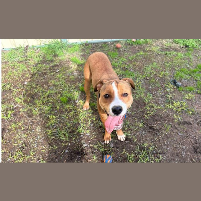 Photo of Hazel
