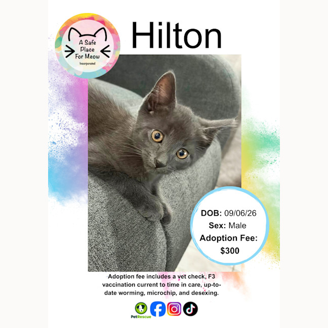 Photo of Hilton