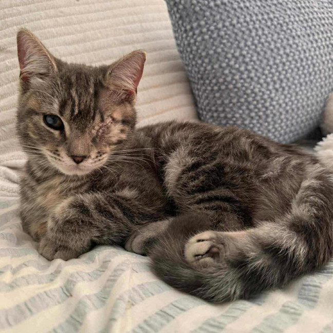 Photo of 12465   Sandy