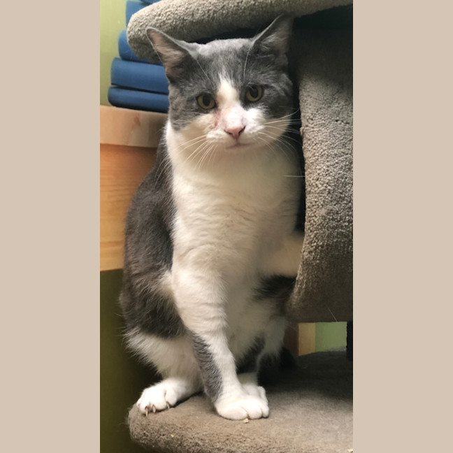 Photo of Boop