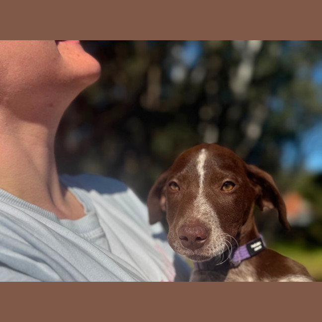Photo of Buddy