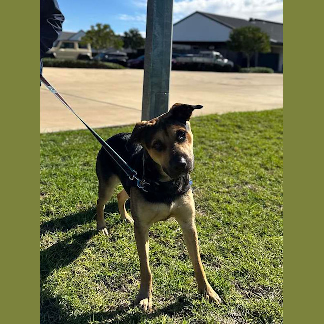 Photo of Thor