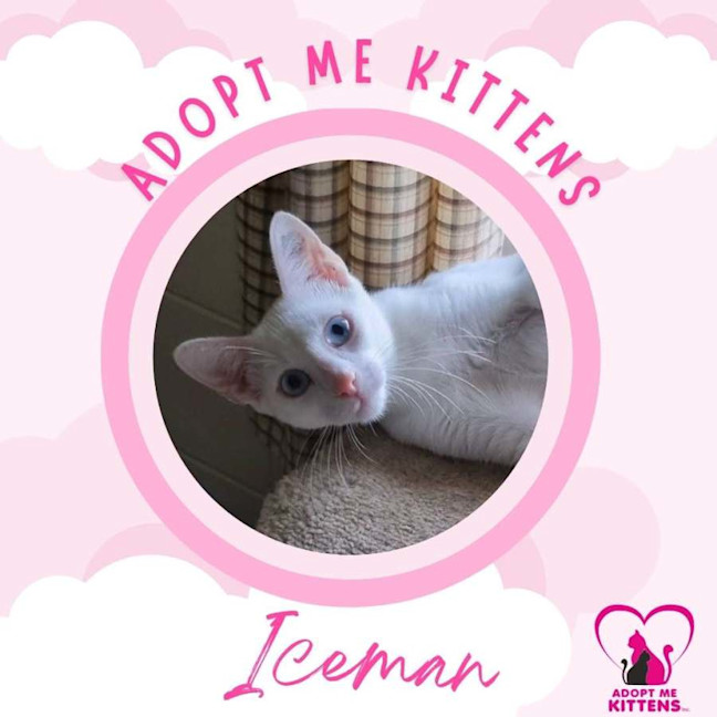 Photo of Iceman