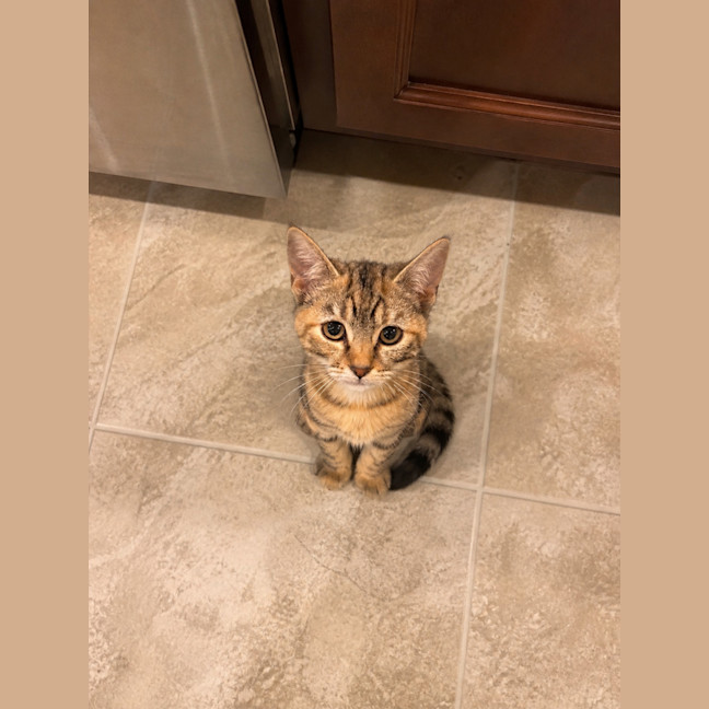 Photo of Daisey