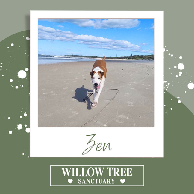 Photo of Zen