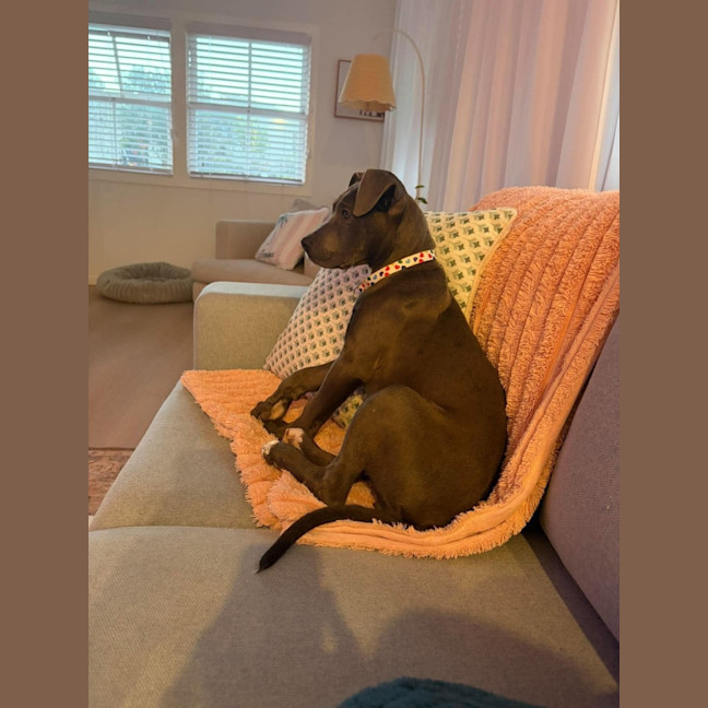 Photo of Buffy