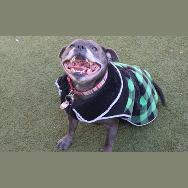 Photo of Billy