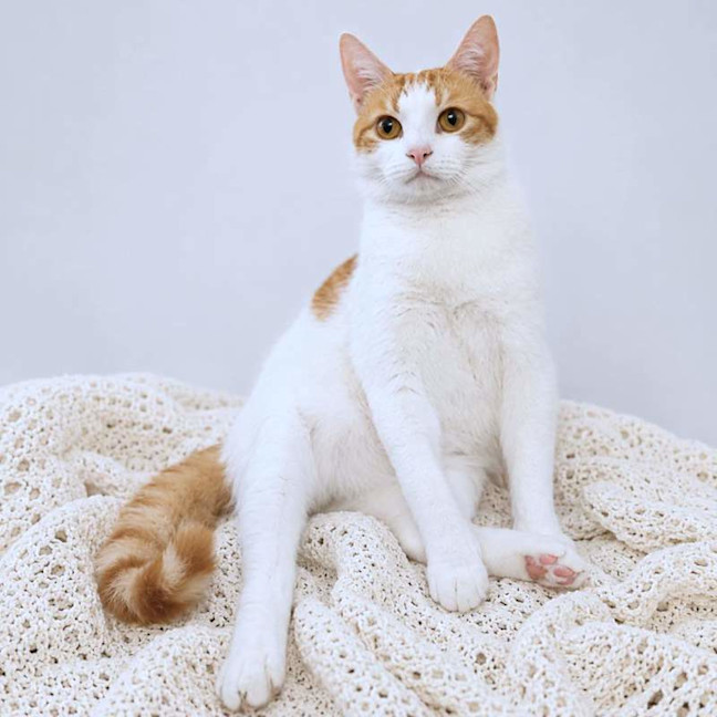 Photo of Clive