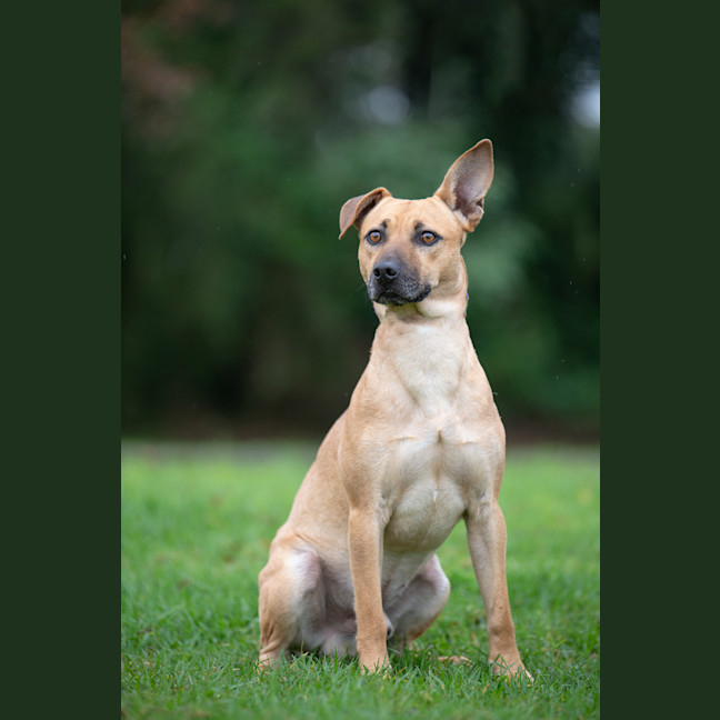 Photo of Bruno