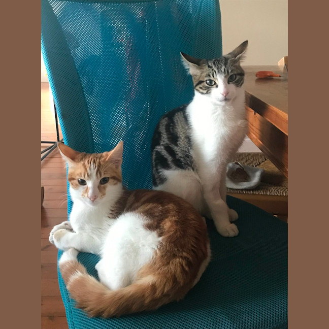 Photo of Max And Milo