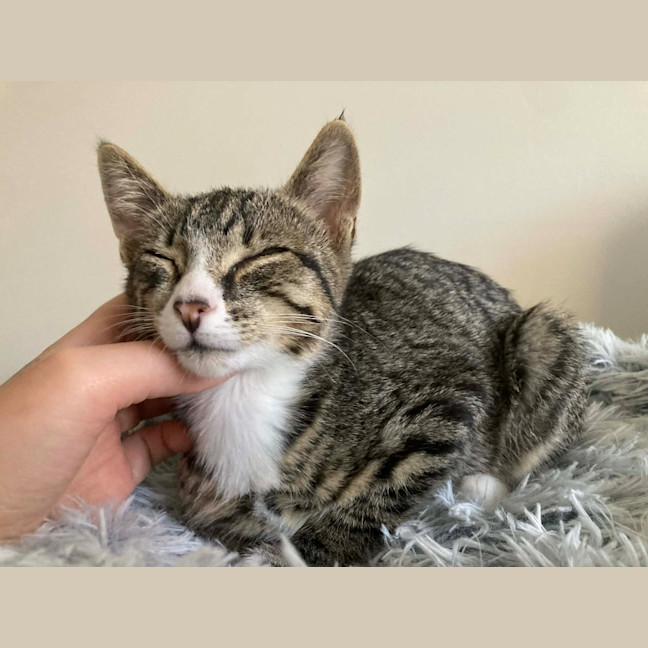 Photo of Your Uncle Kevin