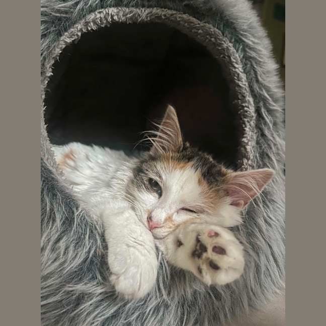 Photo of Winnie