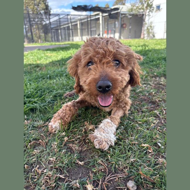 Photo of Bentley
