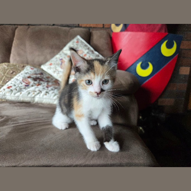 Photo of Sophie