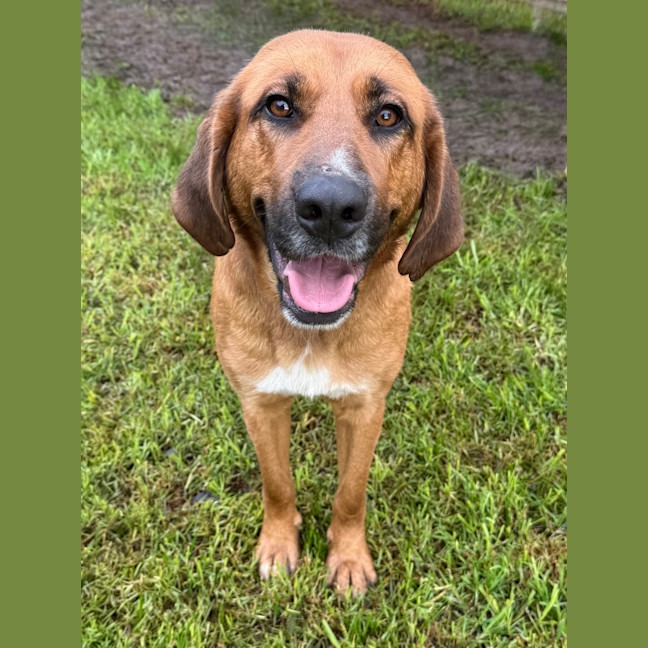 Photo of Axle