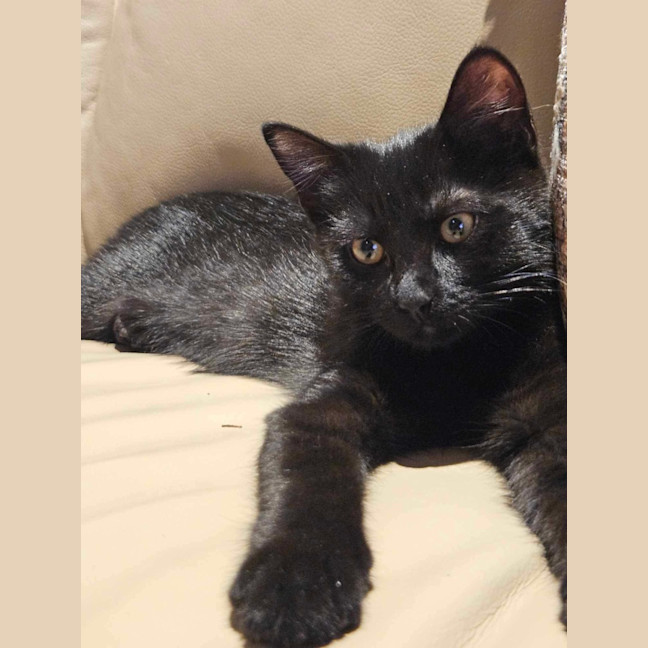 Photo of Harley & Batman 