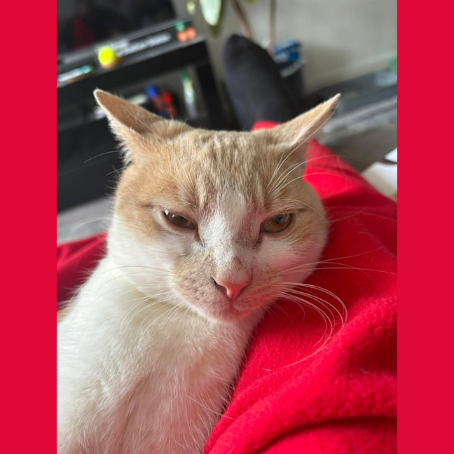 Photo of Barry
